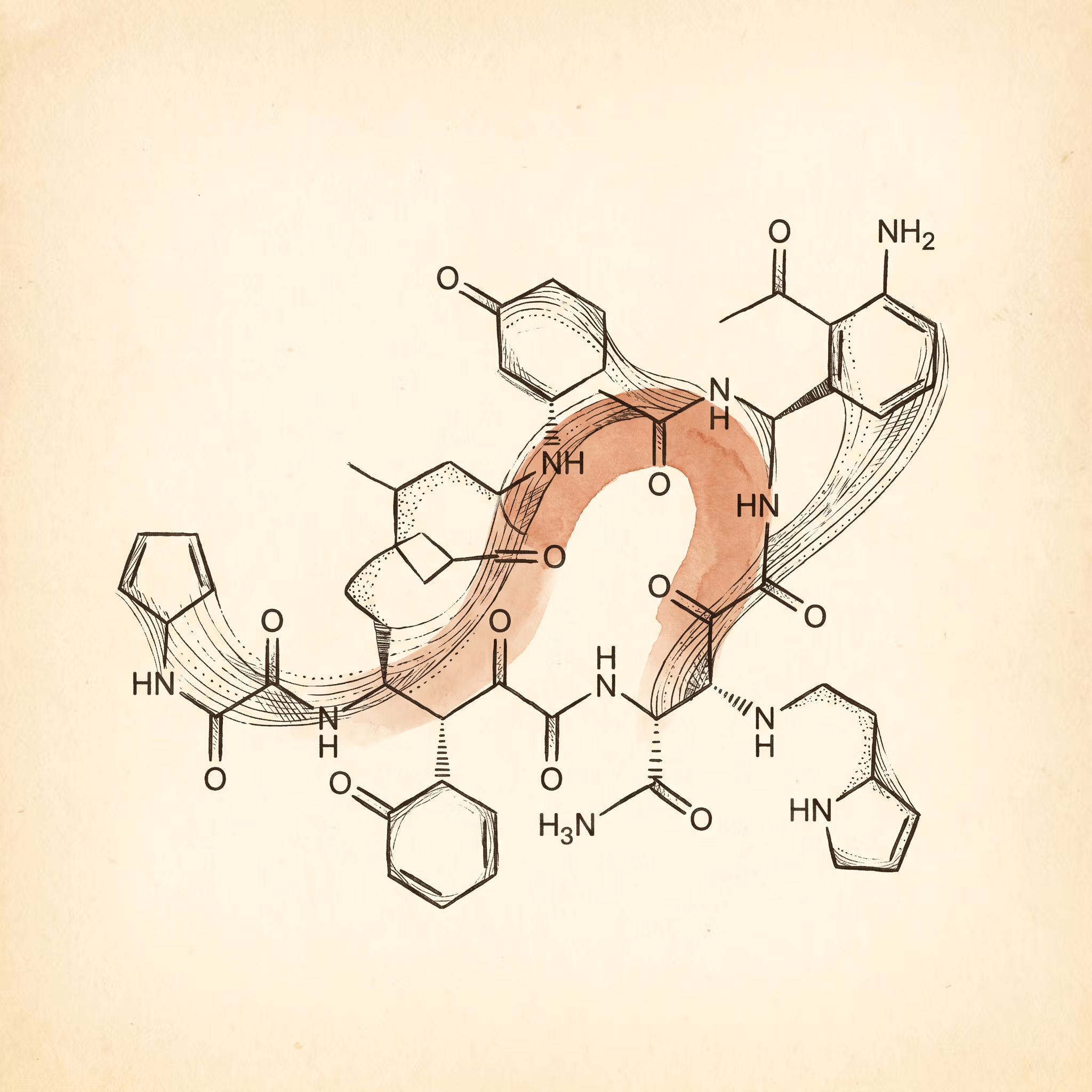 Molecular structure illustration of argireline (acetyl hexapeptide-8).