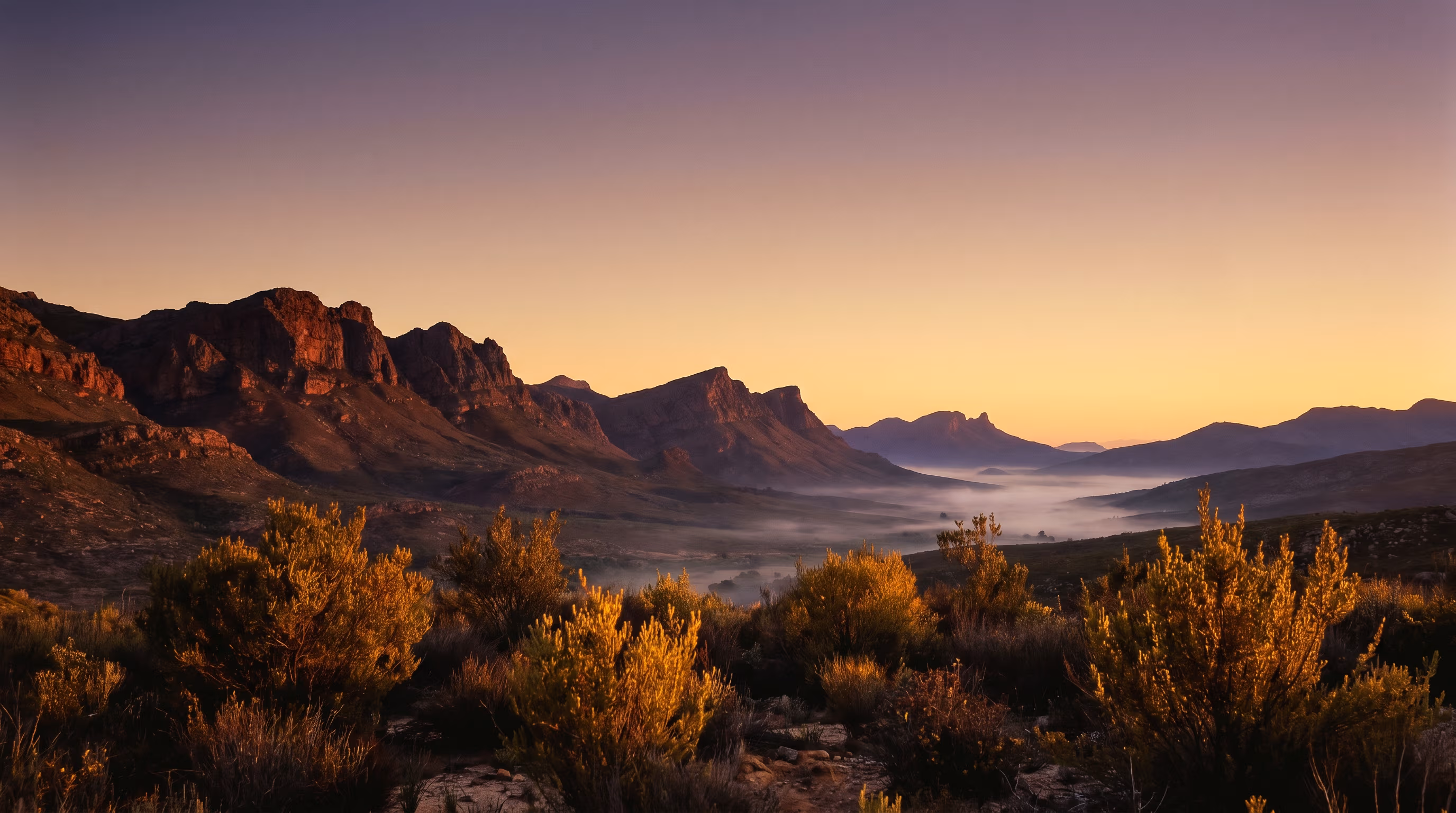 The Cederberg mountains at dawn — where rooibos grows endemic, and where the botanical half of our formulations begins.