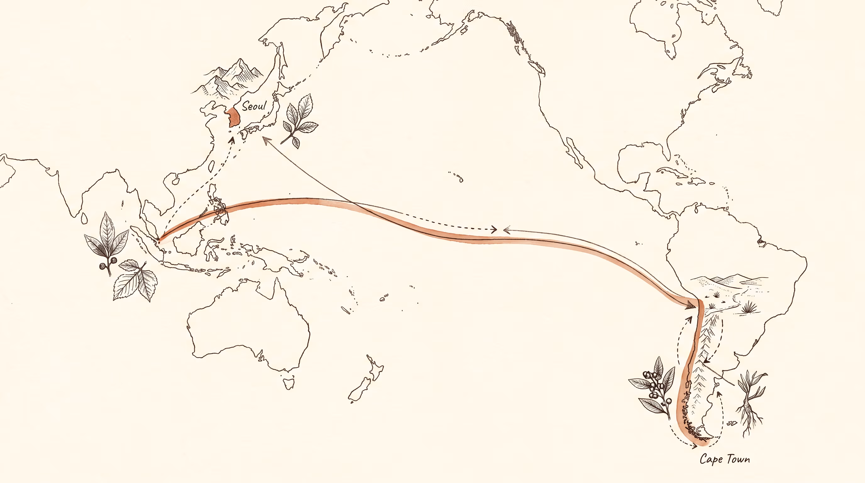 Illustrated supply chain map showing the origin locations of all Veldt & Vein botanicals across Southern Africa.